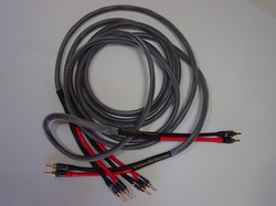 Master Reference SP Cable Banana.jpg